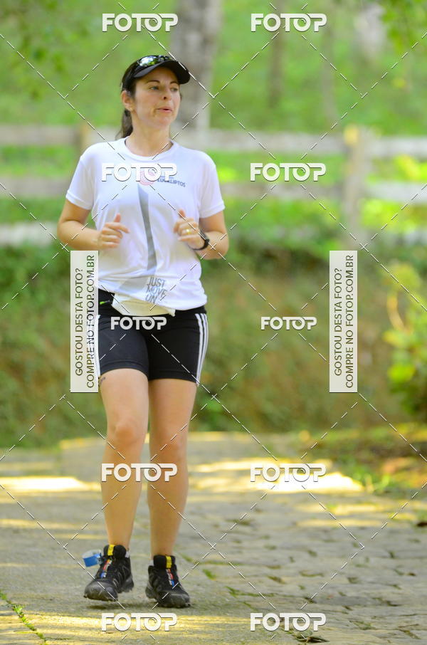 Buy your photos of the eventCORRIDA DOS EUCALIPTOS 2018 on Fotop