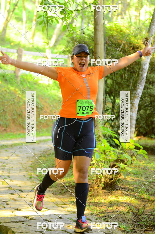 Buy your photos of the eventCORRIDA DOS EUCALIPTOS 2018 on Fotop