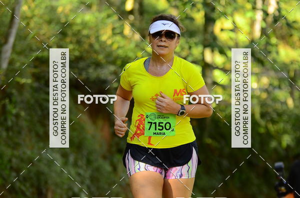Buy your photos of the eventCORRIDA DOS EUCALIPTOS 2018 on Fotop