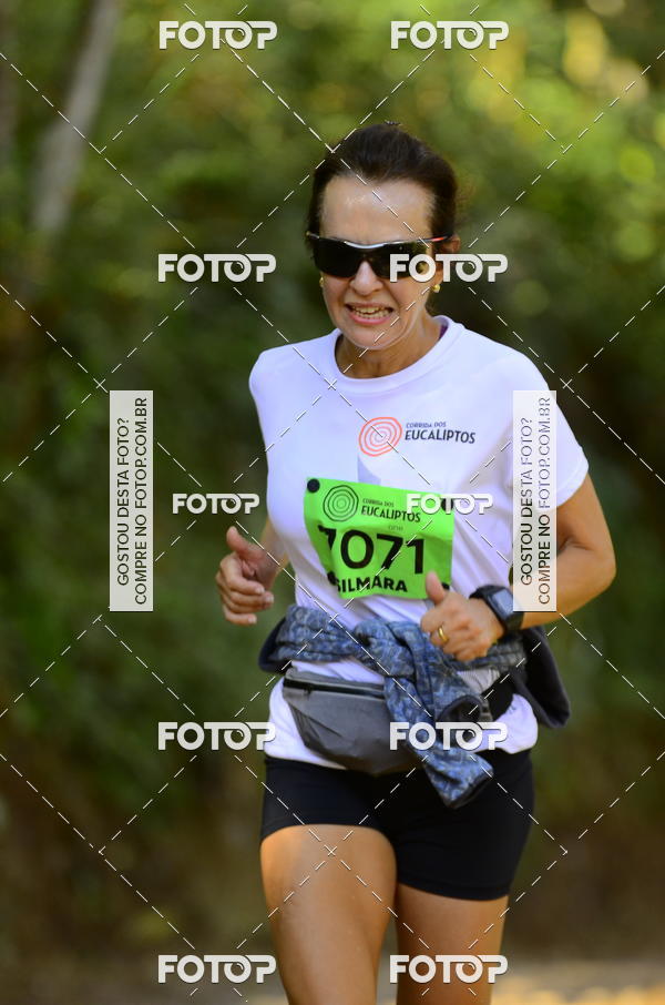 Buy your photos of the eventCORRIDA DOS EUCALIPTOS 2018 on Fotop
