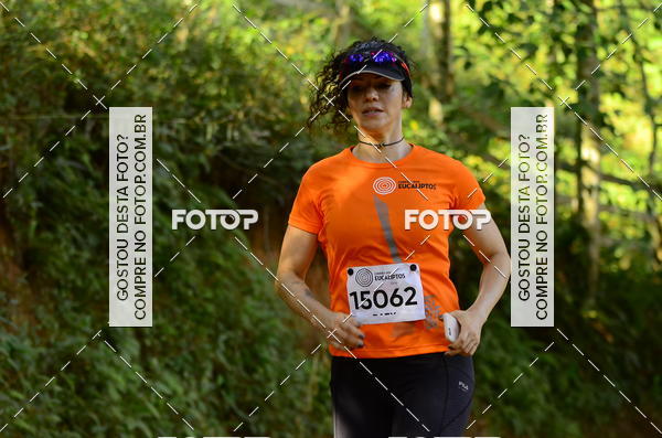 Buy your photos of the eventCORRIDA DOS EUCALIPTOS 2018 on Fotop