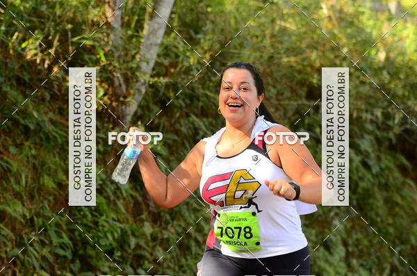 Buy your photos of the eventCORRIDA DOS EUCALIPTOS 2018 on Fotop