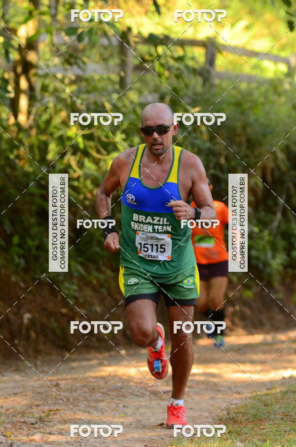 Buy your photos of the eventCORRIDA DOS EUCALIPTOS 2018 on Fotop