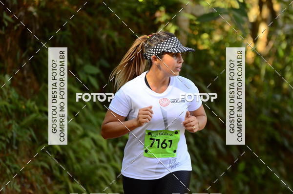 Buy your photos of the eventCORRIDA DOS EUCALIPTOS 2018 on Fotop