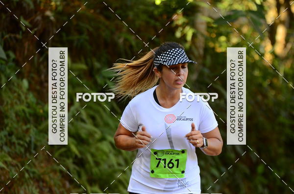 Buy your photos of the eventCORRIDA DOS EUCALIPTOS 2018 on Fotop