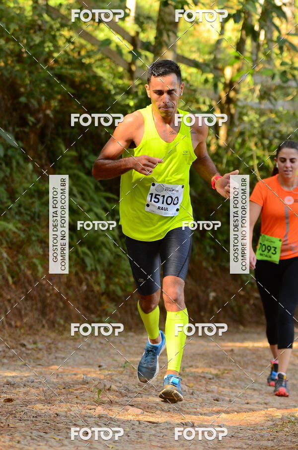 Buy your photos of the eventCORRIDA DOS EUCALIPTOS 2018 on Fotop