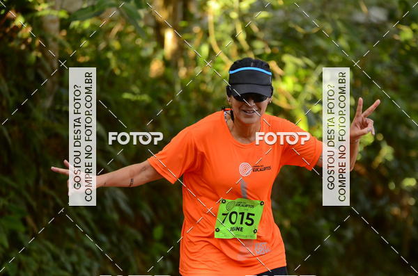 Buy your photos of the eventCORRIDA DOS EUCALIPTOS 2018 on Fotop