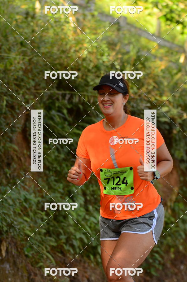 Buy your photos of the eventCORRIDA DOS EUCALIPTOS 2018 on Fotop