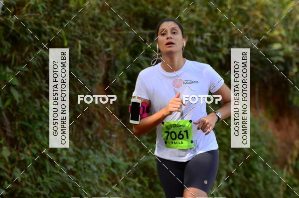 Buy your photos of the eventCORRIDA DOS EUCALIPTOS 2018 on Fotop