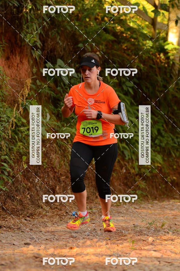 Buy your photos of the eventCORRIDA DOS EUCALIPTOS 2018 on Fotop