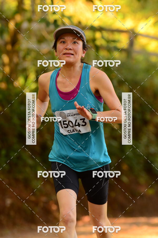 Buy your photos of the eventCORRIDA DOS EUCALIPTOS 2018 on Fotop