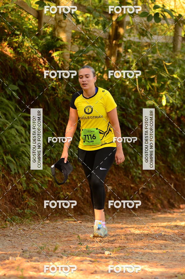 Buy your photos of the eventCORRIDA DOS EUCALIPTOS 2018 on Fotop