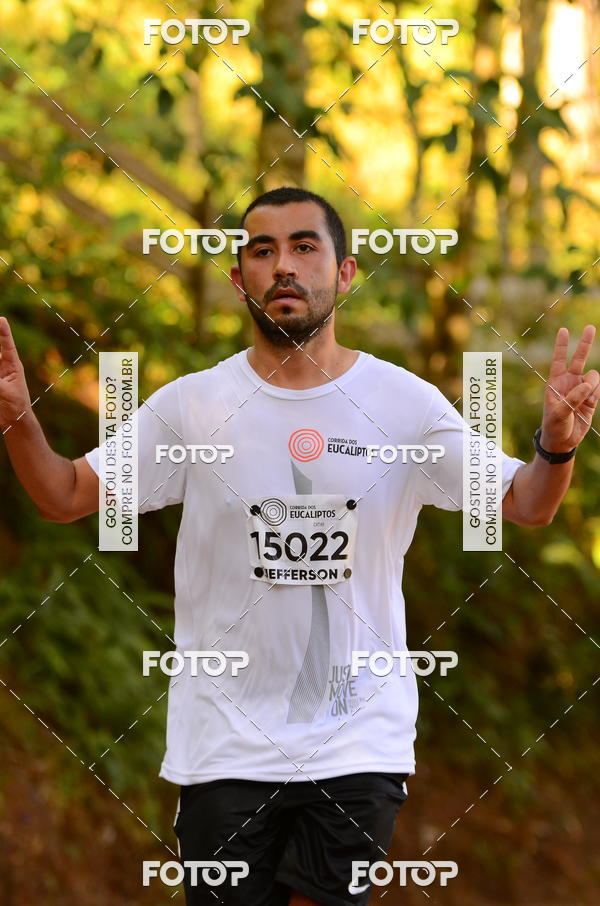 Buy your photos of the eventCORRIDA DOS EUCALIPTOS 2018 on Fotop