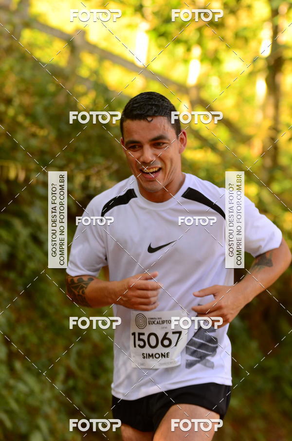 Buy your photos of the eventCORRIDA DOS EUCALIPTOS 2018 on Fotop