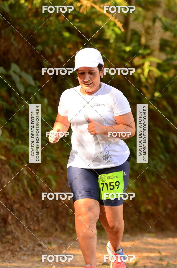 Buy your photos of the eventCORRIDA DOS EUCALIPTOS 2018 on Fotop