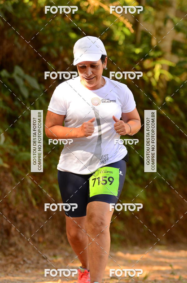 Buy your photos of the eventCORRIDA DOS EUCALIPTOS 2018 on Fotop