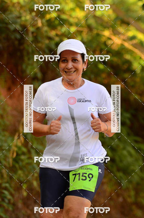 Buy your photos of the eventCORRIDA DOS EUCALIPTOS 2018 on Fotop