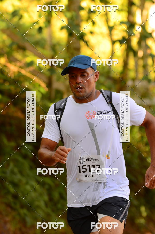 Buy your photos of the eventCORRIDA DOS EUCALIPTOS 2018 on Fotop