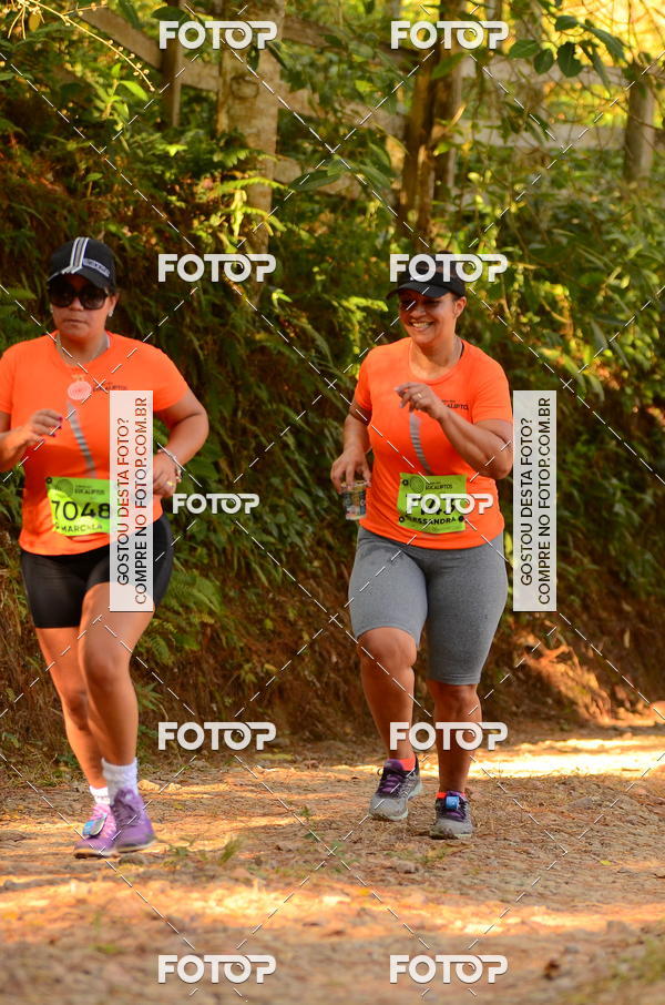 Buy your photos of the eventCORRIDA DOS EUCALIPTOS 2018 on Fotop
