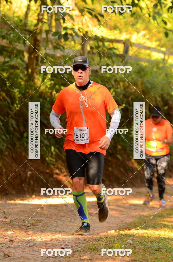 Buy your photos of the eventCORRIDA DOS EUCALIPTOS 2018 on Fotop