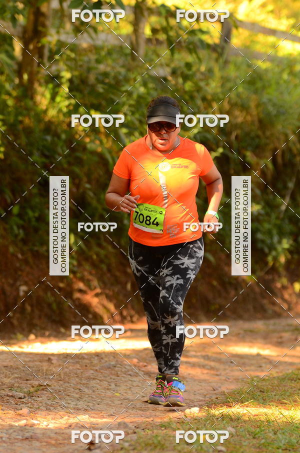 Buy your photos of the eventCORRIDA DOS EUCALIPTOS 2018 on Fotop