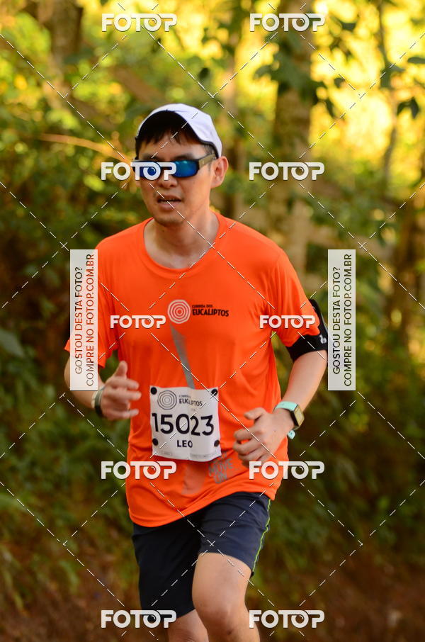 Buy your photos of the eventCORRIDA DOS EUCALIPTOS 2018 on Fotop