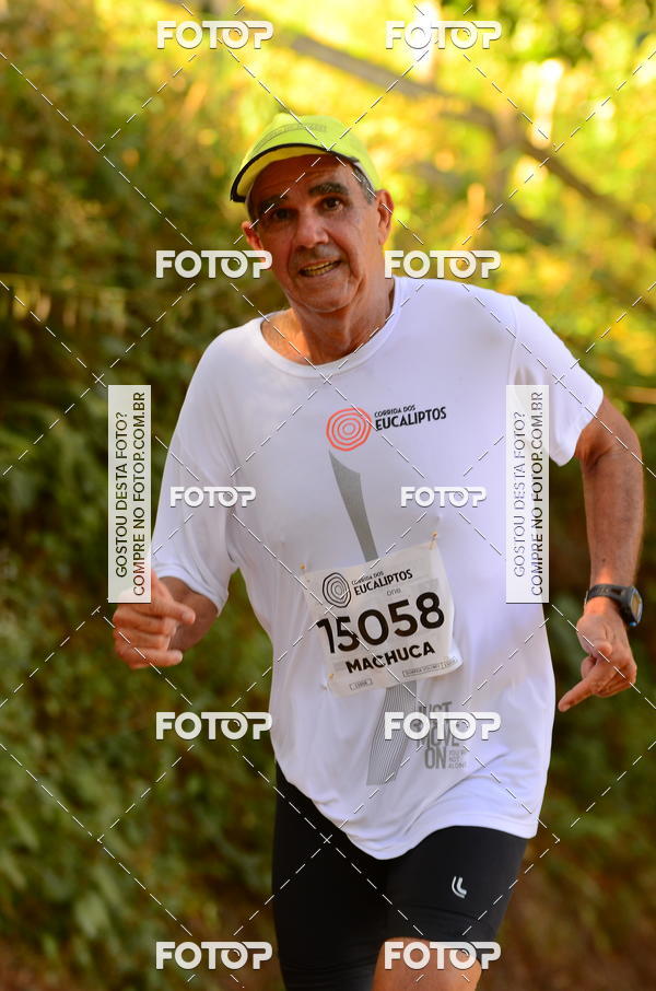 Buy your photos of the eventCORRIDA DOS EUCALIPTOS 2018 on Fotop