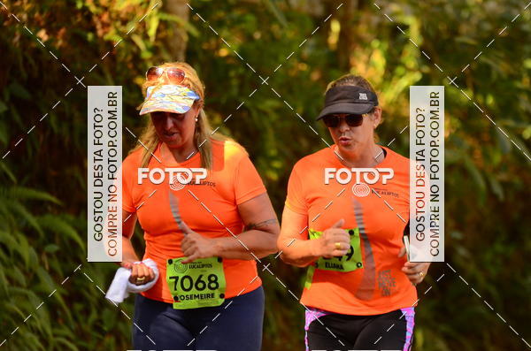 Buy your photos of the eventCORRIDA DOS EUCALIPTOS 2018 on Fotop