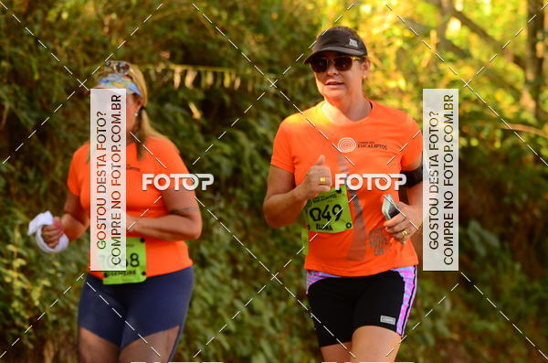 Buy your photos of the eventCORRIDA DOS EUCALIPTOS 2018 on Fotop