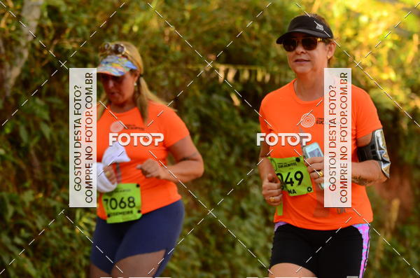 Buy your photos of the eventCORRIDA DOS EUCALIPTOS 2018 on Fotop