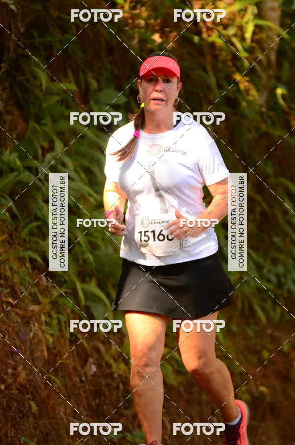 Buy your photos of the eventCORRIDA DOS EUCALIPTOS 2018 on Fotop