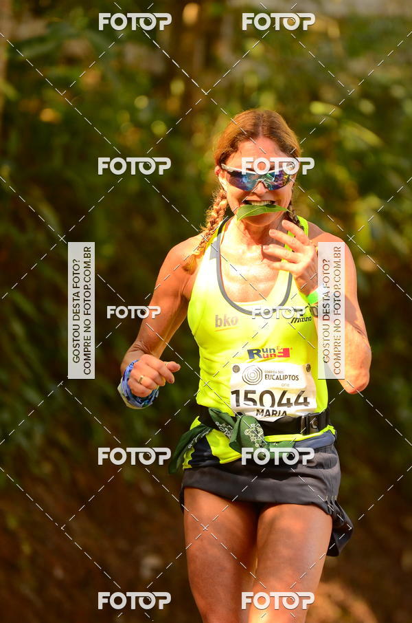 Buy your photos of the eventCORRIDA DOS EUCALIPTOS 2018 on Fotop