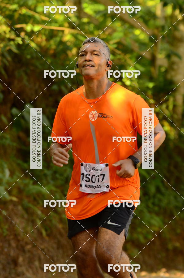 Buy your photos of the eventCORRIDA DOS EUCALIPTOS 2018 on Fotop
