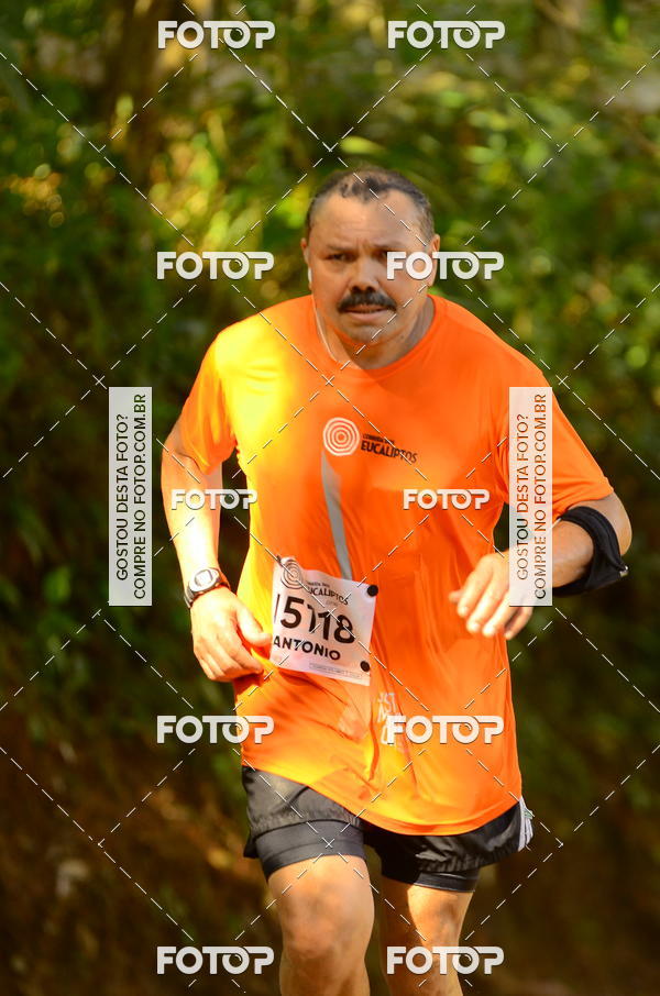 Buy your photos of the eventCORRIDA DOS EUCALIPTOS 2018 on Fotop