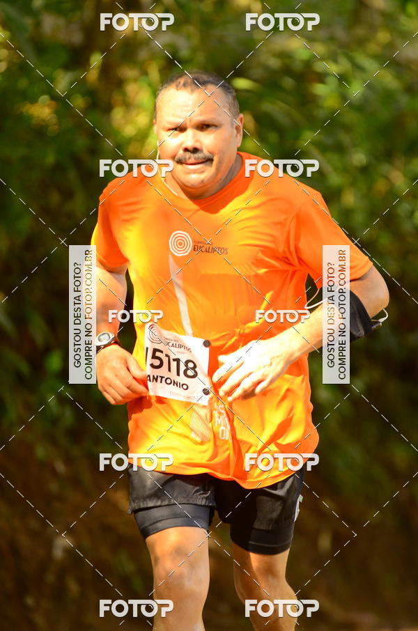 Buy your photos of the eventCORRIDA DOS EUCALIPTOS 2018 on Fotop