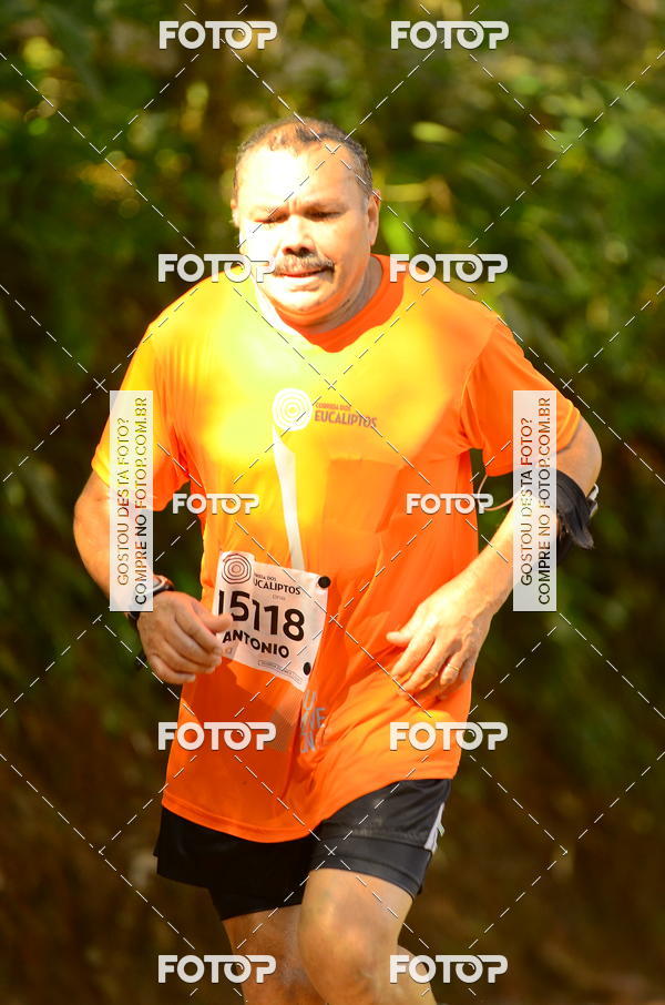 Buy your photos of the eventCORRIDA DOS EUCALIPTOS 2018 on Fotop