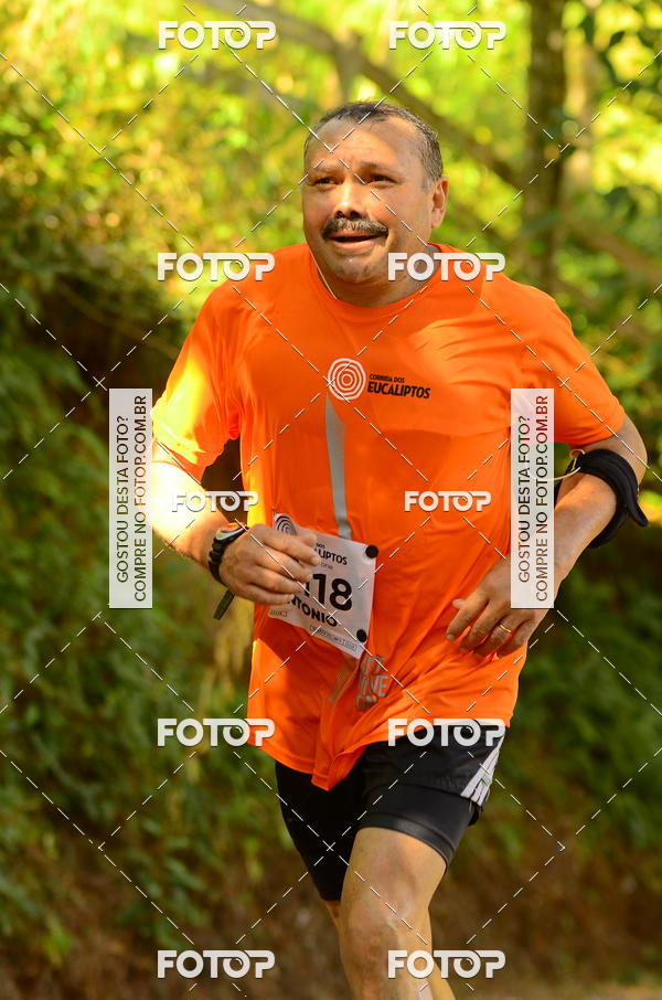 Buy your photos of the eventCORRIDA DOS EUCALIPTOS 2018 on Fotop