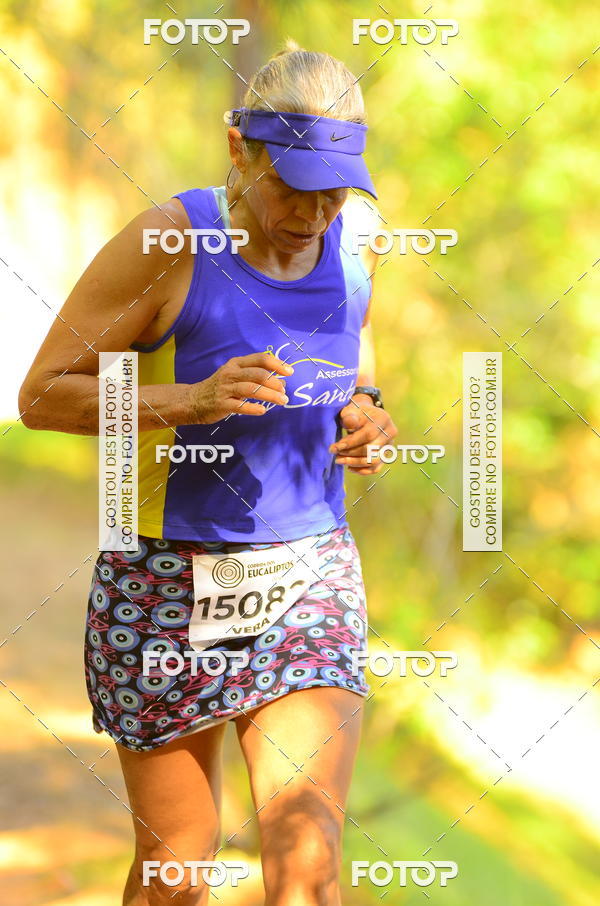 Buy your photos of the eventCORRIDA DOS EUCALIPTOS 2018 on Fotop