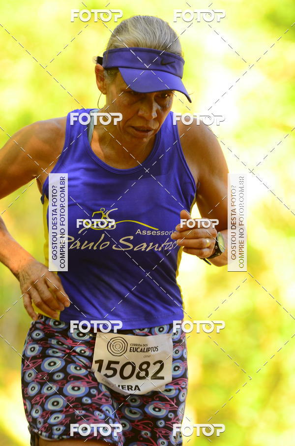 Buy your photos of the eventCORRIDA DOS EUCALIPTOS 2018 on Fotop