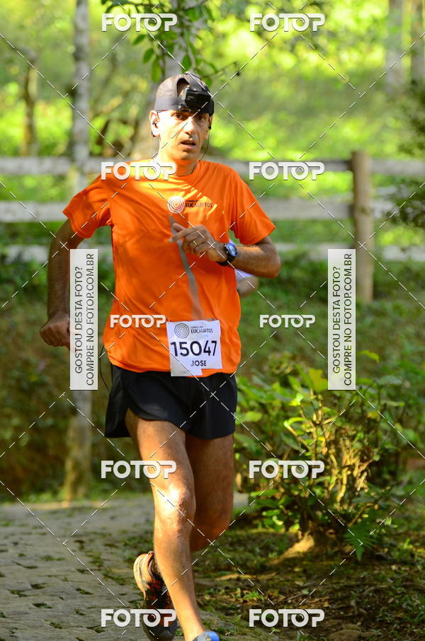 Buy your photos of the eventCORRIDA DOS EUCALIPTOS 2018 on Fotop