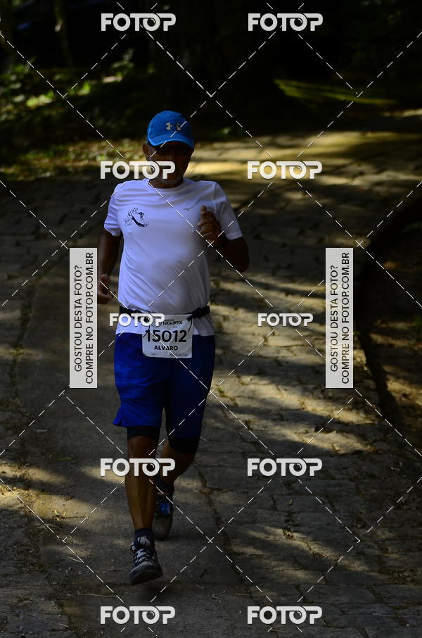 Buy your photos of the eventCORRIDA DOS EUCALIPTOS 2018 on Fotop