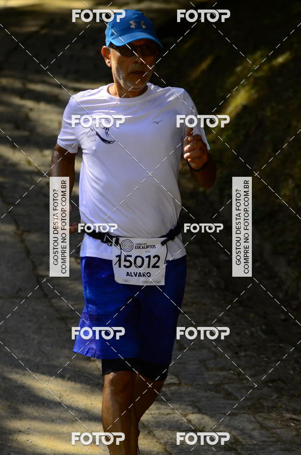 Buy your photos of the eventCORRIDA DOS EUCALIPTOS 2018 on Fotop