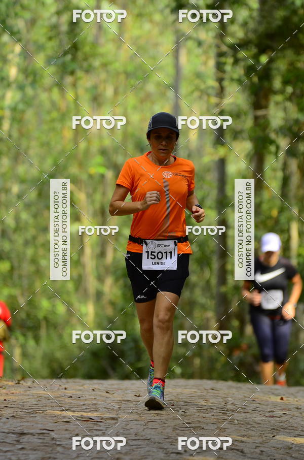 Buy your photos of the eventCORRIDA DOS EUCALIPTOS 2018 on Fotop