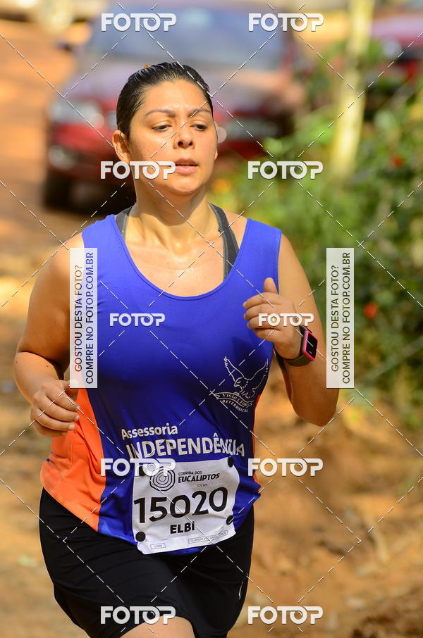 Buy your photos of the eventCORRIDA DOS EUCALIPTOS 2018 on Fotop