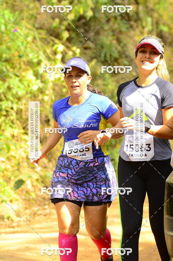 Buy your photos of the eventCORRIDA DOS EUCALIPTOS 2018 on Fotop