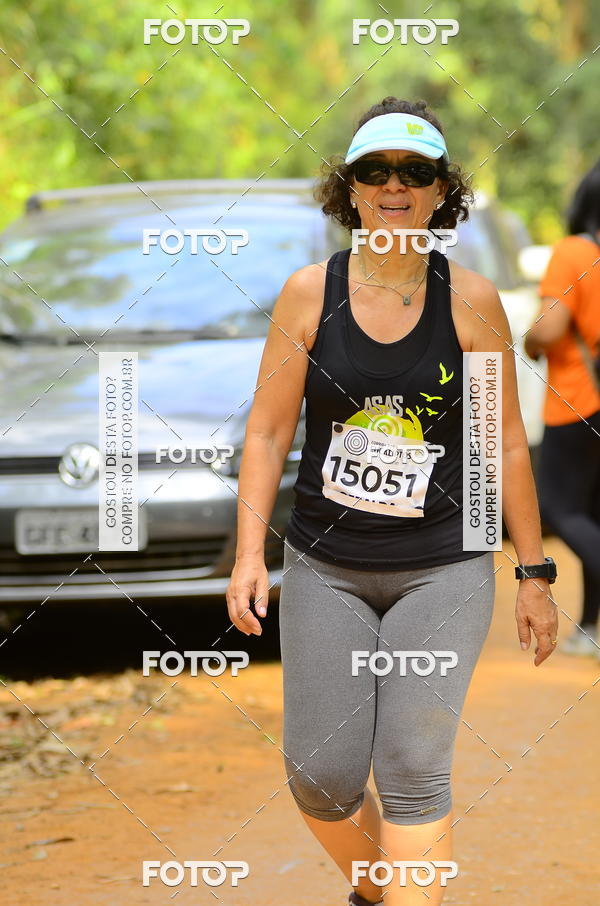 Buy your photos of the eventCORRIDA DOS EUCALIPTOS 2018 on Fotop