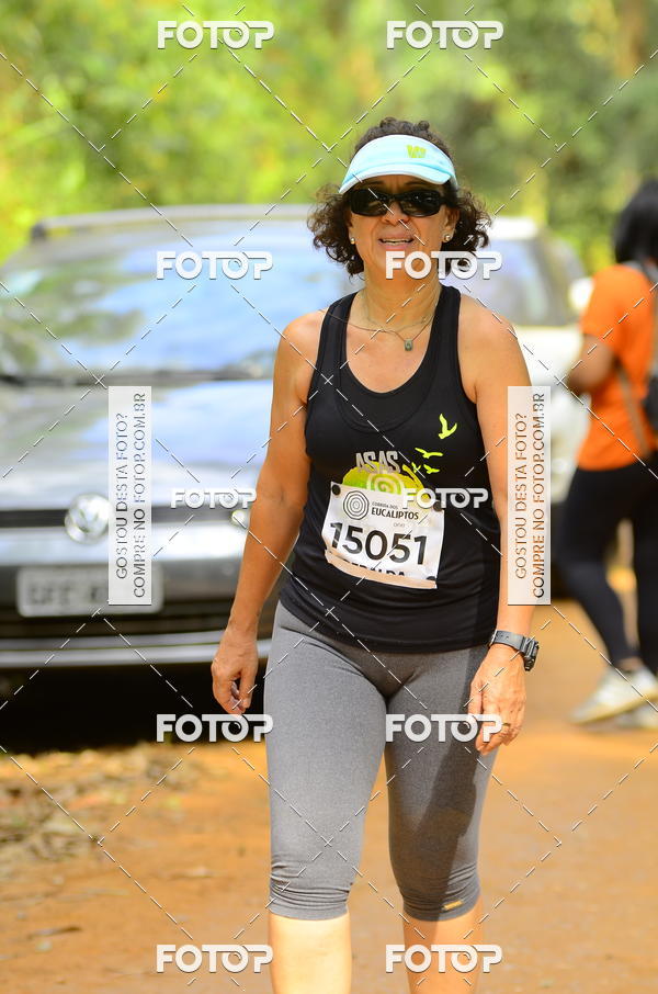 Buy your photos of the eventCORRIDA DOS EUCALIPTOS 2018 on Fotop