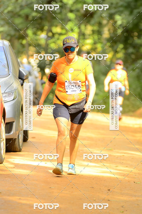 Buy your photos of the eventCORRIDA DOS EUCALIPTOS 2018 on Fotop