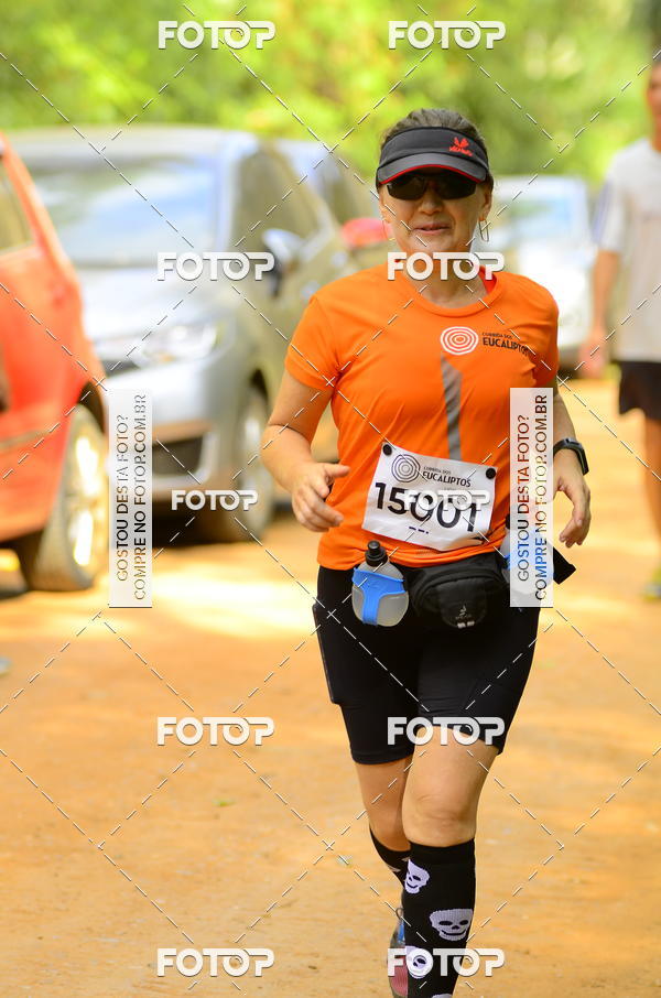 Buy your photos of the eventCORRIDA DOS EUCALIPTOS 2018 on Fotop
