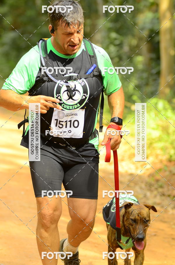 Buy your photos of the eventCORRIDA DOS EUCALIPTOS 2018 on Fotop
